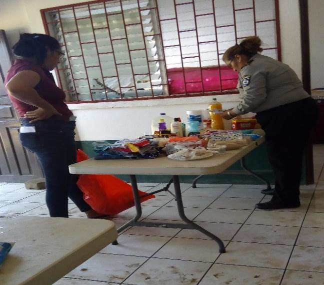 sistema